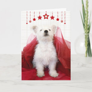 Cute Westie Pup Christmas Card