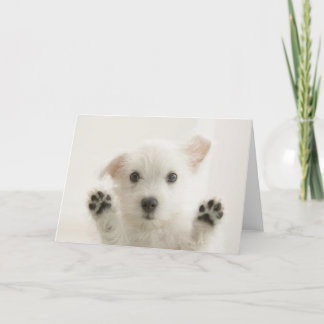 Cute Westie Puppy Card
