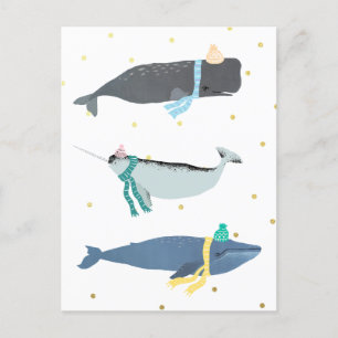 Cute Whale Scarves Winter Christmas Illustration   Postcard