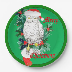 Cute Whimsical Christmas Owl Stocking Designed Paper Plate