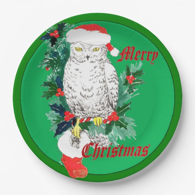 Cute Whimsical Christmas Owl Stocking Designed Paper Plate (Front)