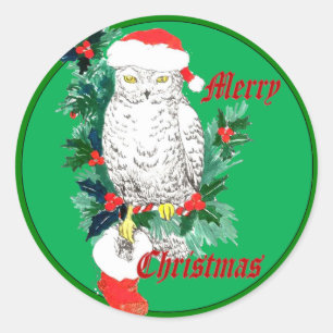 Cute Whimsical Wildlife Christmas Owl Stocking Classic Round Sticker
