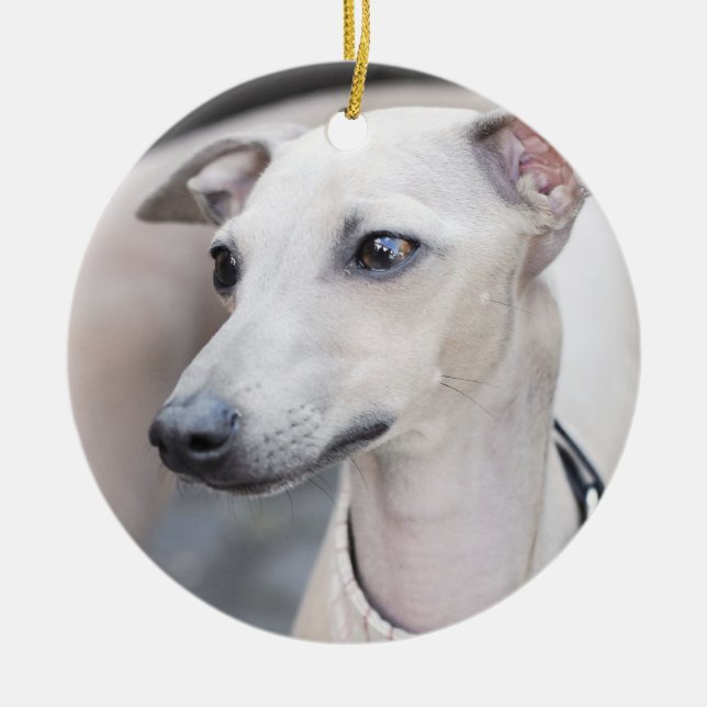 Cute Whippet Ceramic Tree Decoration (Front)