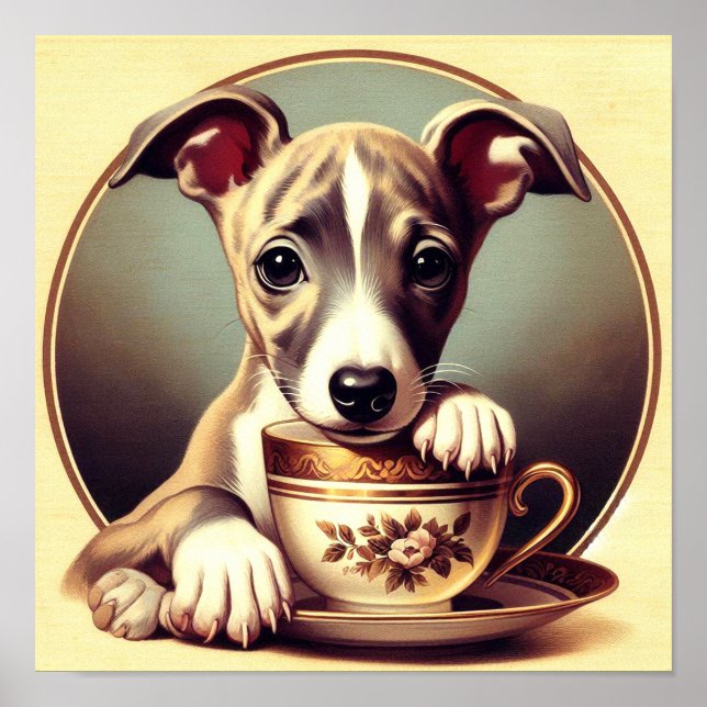 Cute Whippet Puppy Poster (Front)