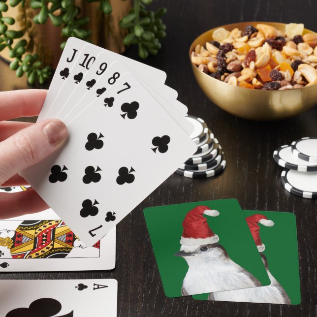 Cute Whiskey Jack Bird Wearing Santa Hat Playing Cards (In Situ)