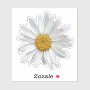 Cute White and Yellow Daisy Floral