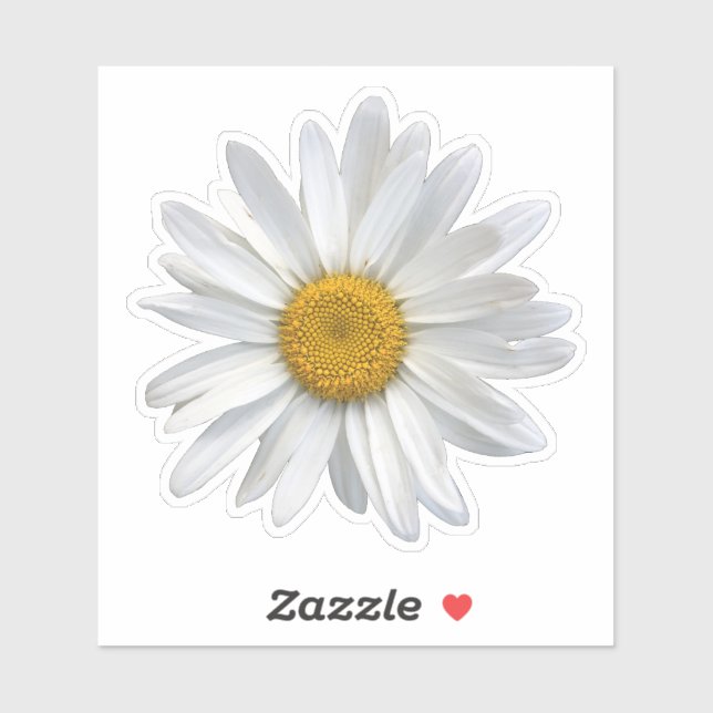 Cute White and Yellow Daisy Floral (Sheet)