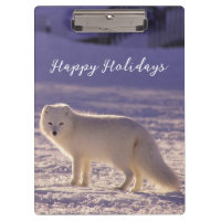 Cute White Arctic Fox Snow Winter Photography