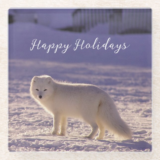 Cute White Arctic Fox Snow Winter Photography Glass Coaster (Front)