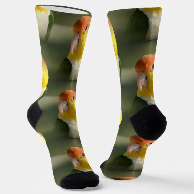 Cute White Bellied Caique Parrot Socks (Angled)