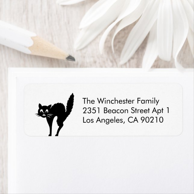Cute white black cat Halloween funny address (Insitu)