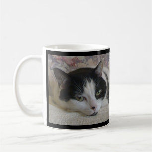 Cute White Black Cat Photo Monogram Name Black Coffee Mug