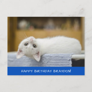 Cute White Cat Birthday Postcard