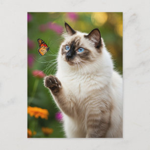 Cute White Cat Butterfly Blue Eyes Postcard