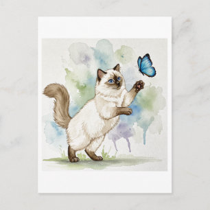 Cute White Cat Butterfly Blue Eyes Postcard
