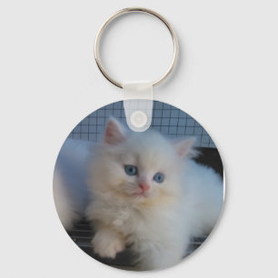 CUTE WHITE CAT KITTEN PERSIAN KEY RING