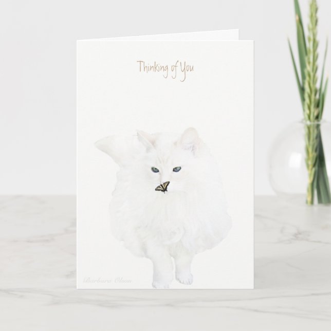 Cute White cat--Thinking of You: Card (Front)