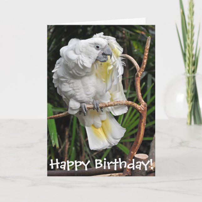 Cute white cockatiel birthday card (Front)