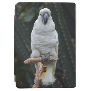 Cute white cockatoo     iPad air cover