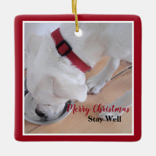 Cute White Dog Drinking Water Red Christmas Square Ceramic Ornament