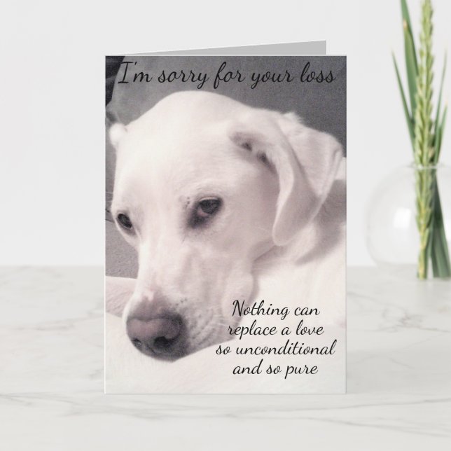 Cute White Dog Grey Loss of Pet Sympathy Card (Front)