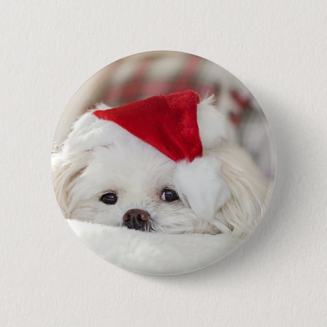 Cute White Dog in a Red Christmas Hat 6 Cm Round Badge (Front)