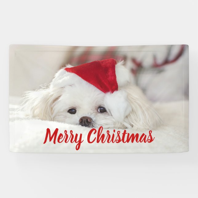 Cute White Dog in a Red Christmas Hat Banner (Horizontal)