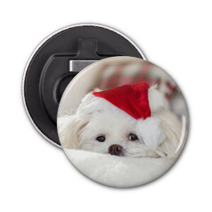 Cute White Dog in a Red Christmas Hat Bottle Opener