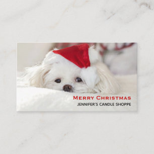 Cute White Dog in a Red Christmas Hat Business Card