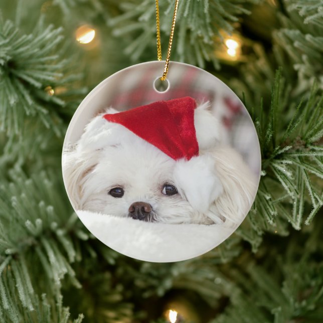 Cute White Dog in a Red Christmas Hat Ceramic Tree Decoration (Tree)