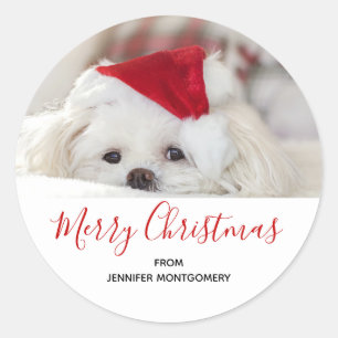 Cute White Dog in a Red Christmas Hat Classic Round Sticker