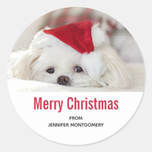 Cute White Dog in a Red Christmas Hat Classic Round Sticker