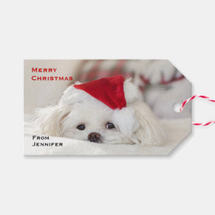 Cute White Dog in a Red Christmas Hat Gift Tags