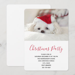Cute White Dog in a Red Christmas Hat Invitation