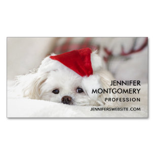 Cute White Dog in a Red Christmas Hat Magnetic Business Card