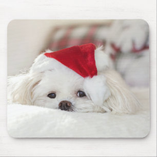 Cute White Dog in a Red Christmas Hat Mouse Mat