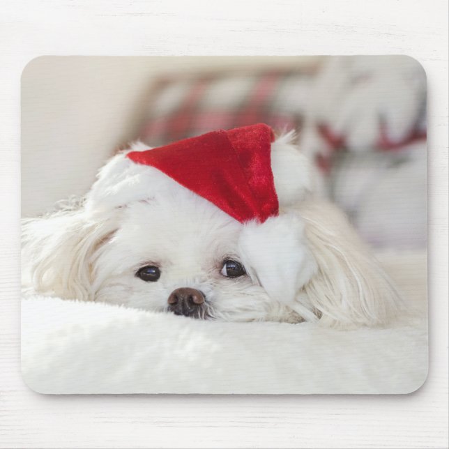 Cute White Dog in a Red Christmas Hat Mouse Mat (Front)