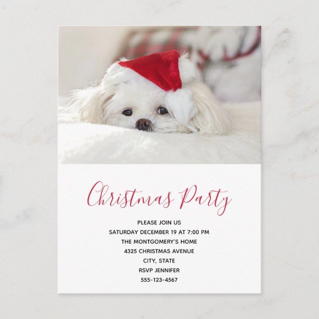 Cute White Dog in a Red Christmas Hat Party Invitation Postcard (Front)