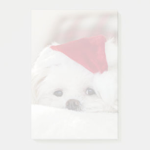 Cute White Dog in a Red Christmas Hat Post-it Notes