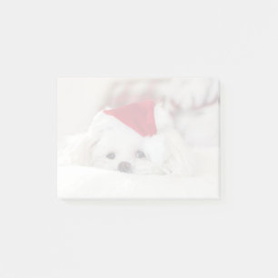 Cute White Dog in a Red Christmas Hat Post-it Notes