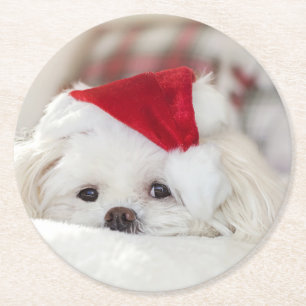Cute White Dog in a Red Christmas Hat Round Paper Coaster