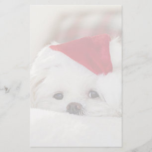 Cute White Dog in a Red Christmas Hat Stationery