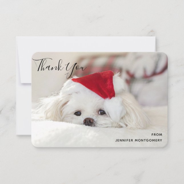 Cute White Dog in a Red Christmas Hat Thank You Card (Front)