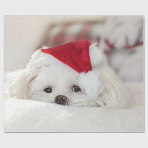 Cute White Dog in a Red Christmas Hat Wrapping Paper