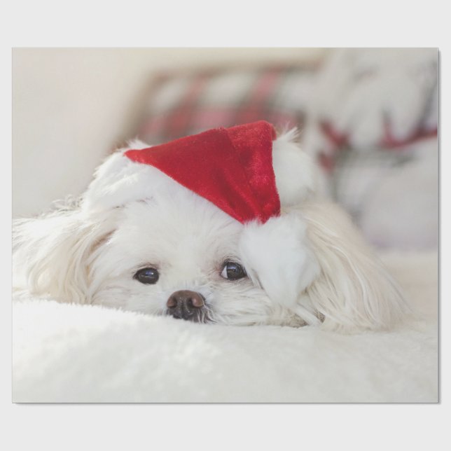 Cute White Dog in a Red Christmas Hat Wrapping Paper (Flat)