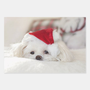 Cute White Dog in a Red Christmas Hat Wrapping Paper Sheet