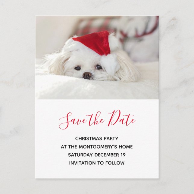 Cute White Dog in Red Christmas Hat Save the Date Invitation Postcard (Front)