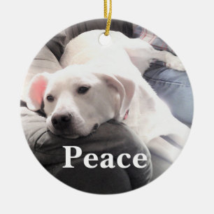 Cute White Dog Peace Ceramic Tree Decoration