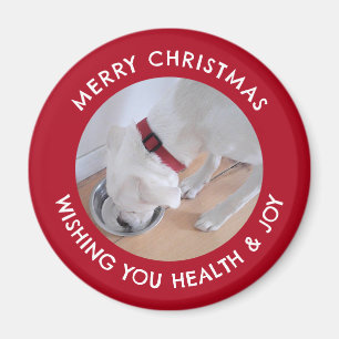 Cute White Dog Photo Healthy Merry Christmas Red Magnet