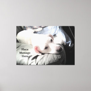 Cute White dog Sitting With Dad in the Sunlight  Canvas Print